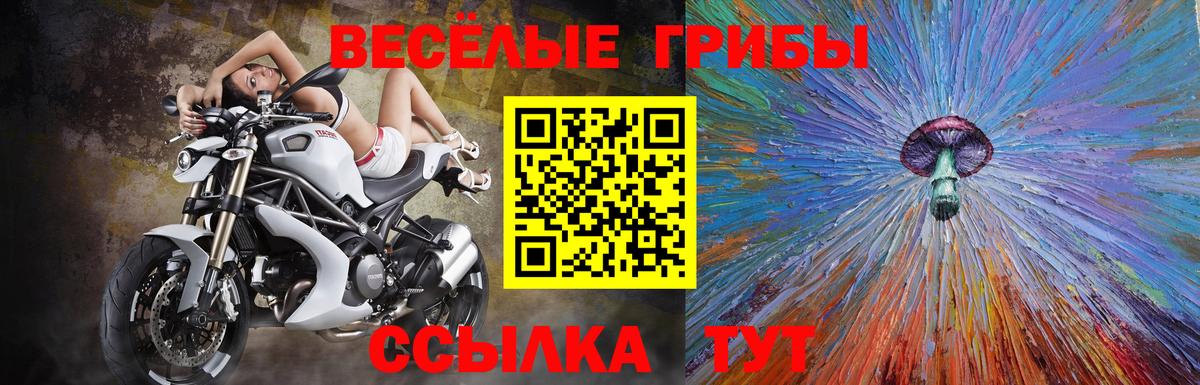 Псилоцибиновые грибы мухоморы Октябрьский